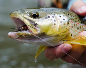 468607_10150797084406423_710321422_9742694_1962558929_o