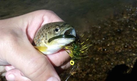 CTXyc3RVAAAeFHo.jpg-large