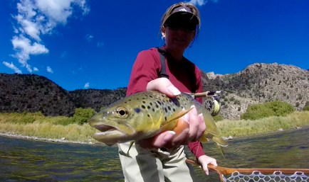 screenshot-2016-10-11-18-58-43