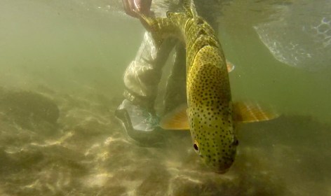 screenshot-2016-10-11-19-03-58