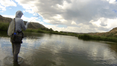 2017-07-22 13.28.09-3