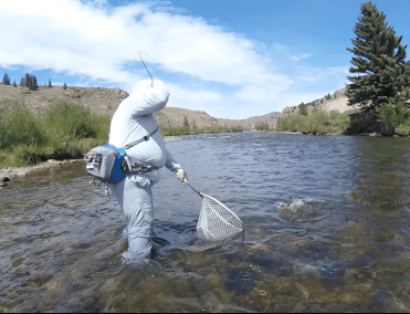 Screen Shot 2019-12-12 at 8.42.40 AM