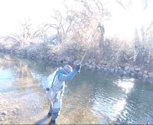 Screen Shot 2019-12-12 at 8.46.03 AM